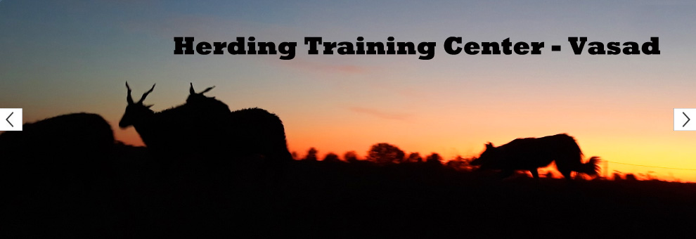 htc-slider htc-slider